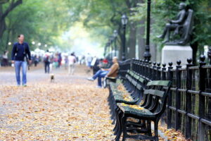A Bench Can Extend the Reach of a City