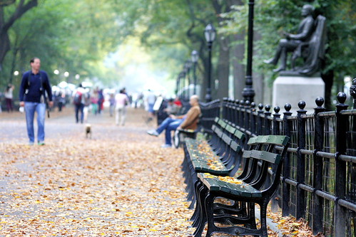 A row of empty black benches lines a tree-covered path in Central Park, with walkers and one seated person in the distance.