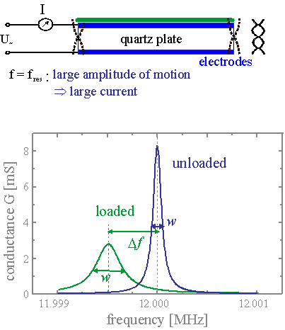 Schematic explaining the principle of a quartz crystal microbalance, showing quartz resonator, electrodes, and the relation between mass loading and frequency shift.