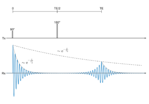 The Pulse That Makes Spins Remember: The Spin-Echo Trick